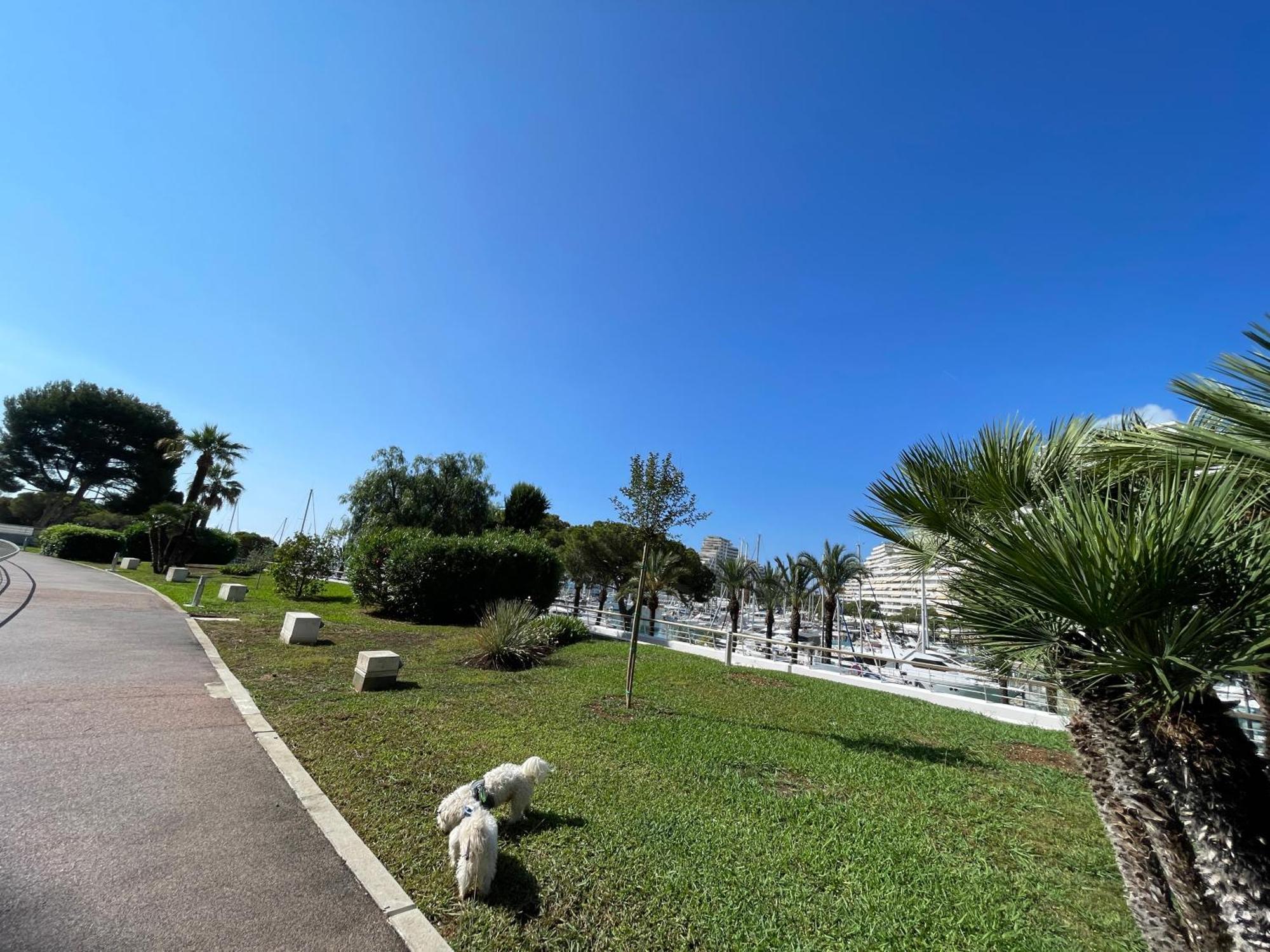 Studio A 2 Pas De La Plage Villeneuve-Loubet Bagian luar foto